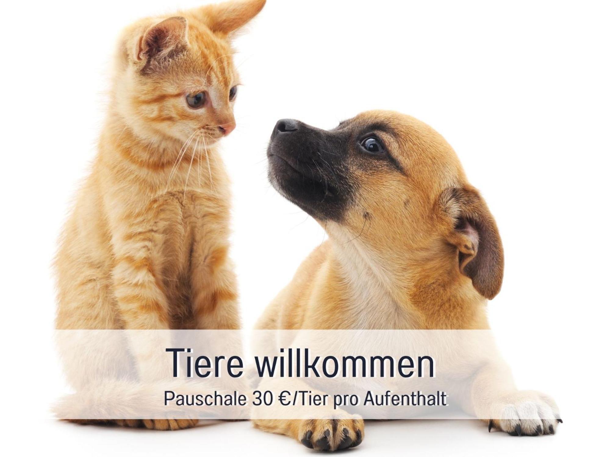 Penthouse - 3 Schlafzimmer- Sonnige Dachterrasse -Whirlpool & Alpenblick - Perfekt Fuer Romantik Oder Familienurlaub Mit Kind, Hund Willkommen - By Ferienwohnenamsee - Uberlingen Exterior foto